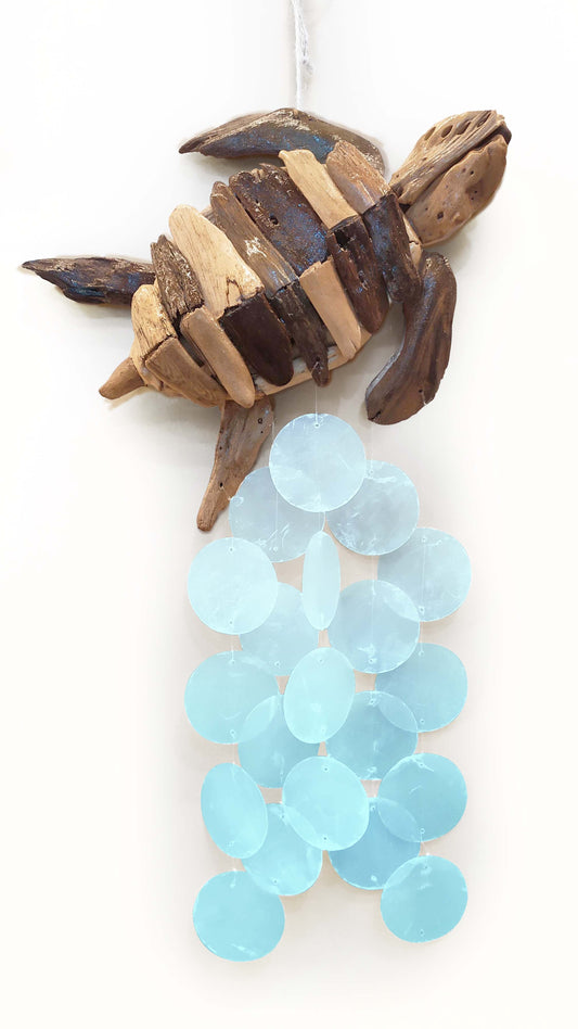 Driftwood CapizColor-Turtle