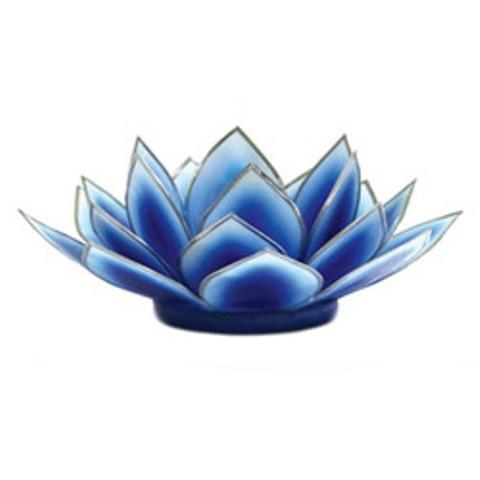Dahlia Lotus  -  Dark Blue