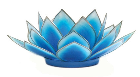 Dahlia Lotus  -  Turquoise