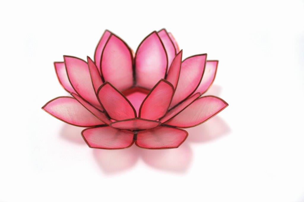 Paradise Lotus - Flamingo