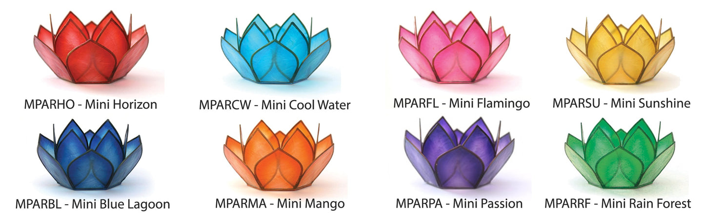 Mini Capiz Paradise Pack