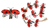 Ladybug Driftwood Capiz Garland