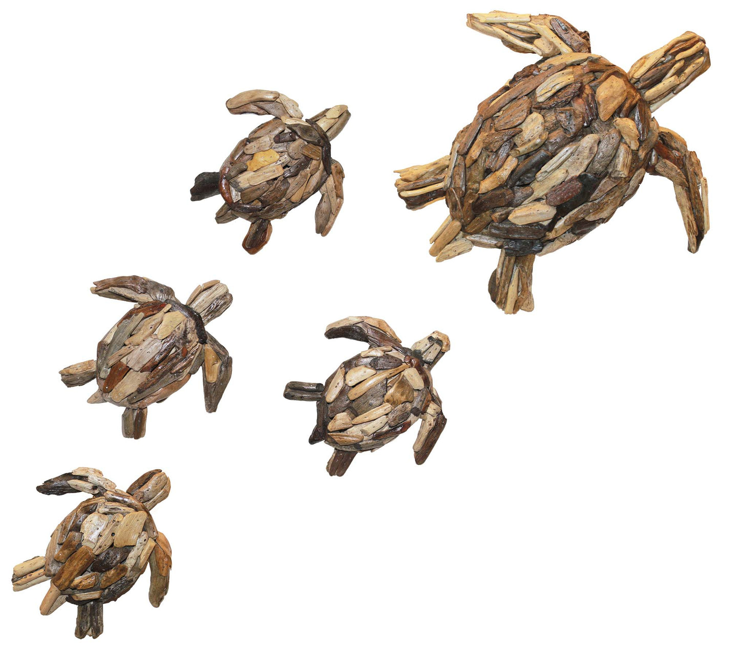 Mother Turtle and Four Babies - Driftwood Wall Art