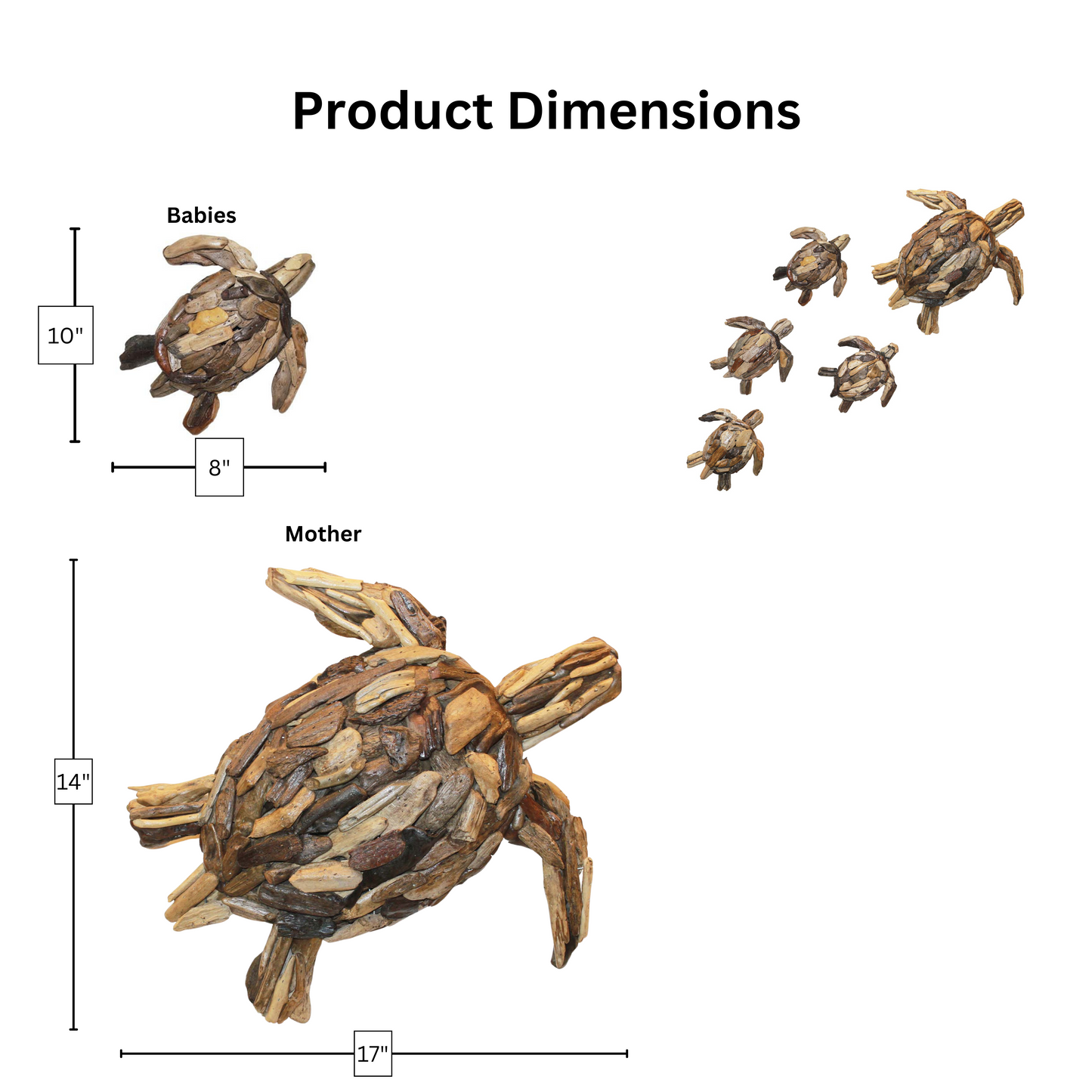 Mother Turtle and Four Babies - Driftwood Wall Art