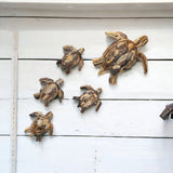 Mother Turtle and Four Babies - Driftwood Wall Art