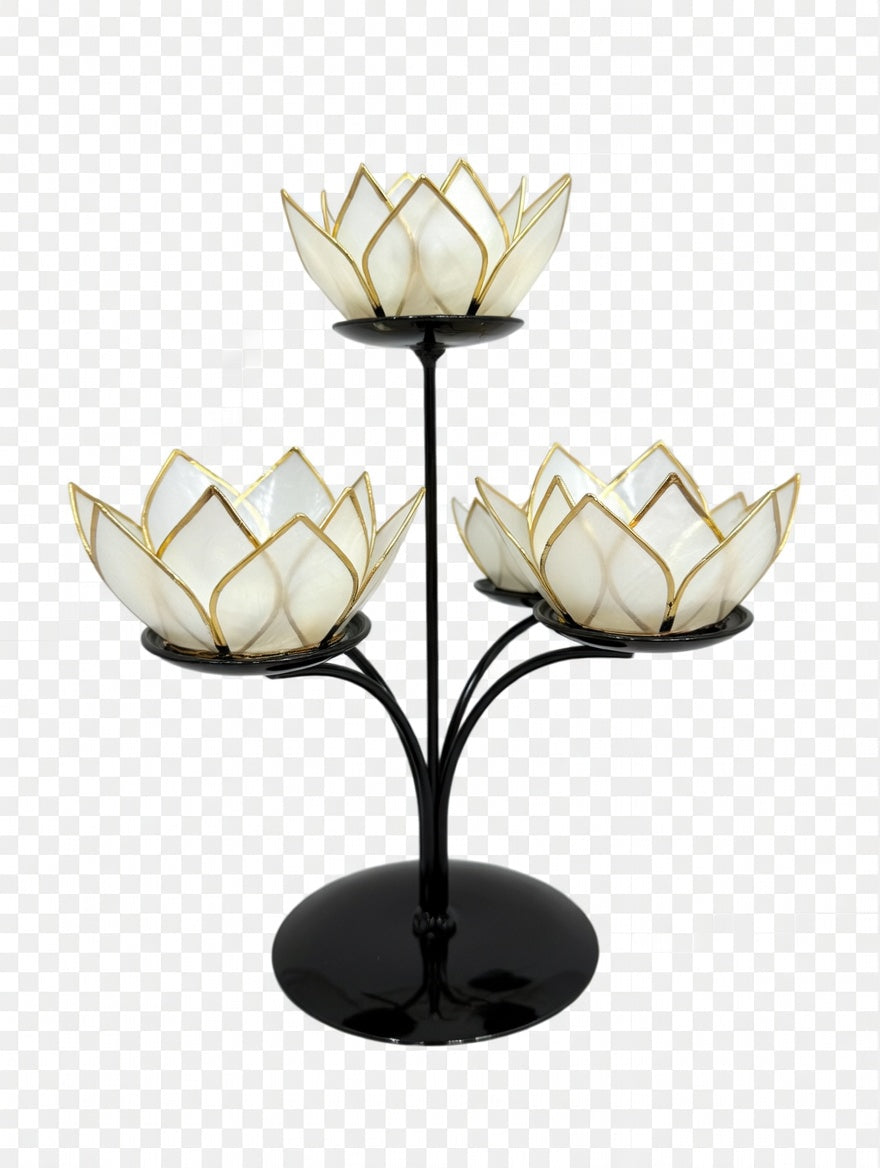 Stand - Mini 5 Piece Stand