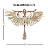 Owl Raffia and Capiz Wall Decor