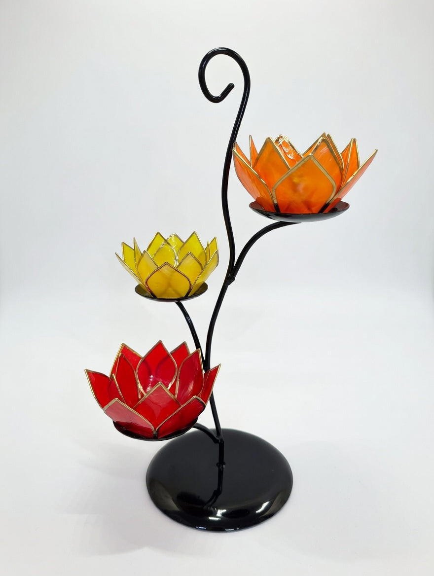 Stand - Mini Climbing Vine