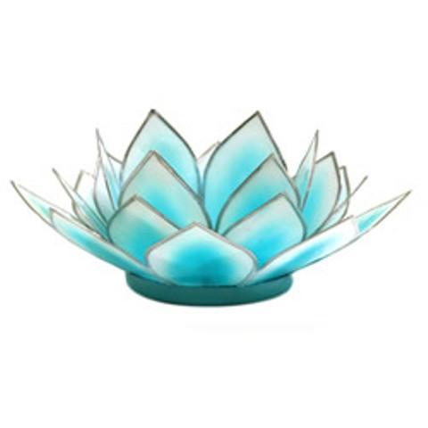 Dahlia Lotus  -  Aquamarine