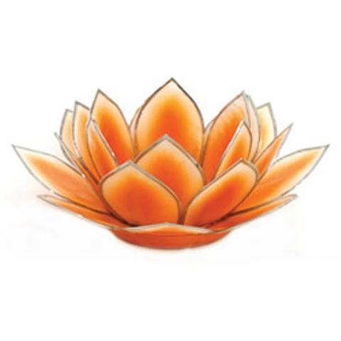 Dahlia Lotus  -  Orange