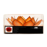 Paradise Lotus   -   Mango