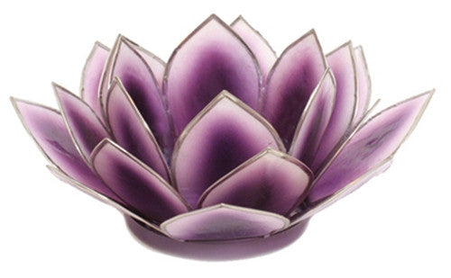 Dahlia Lotus  -  Purple