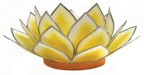 Dahlia Lotus  -  Yellow