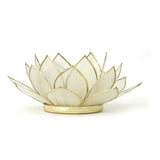 Gemstone Lotus  -  Pearl
